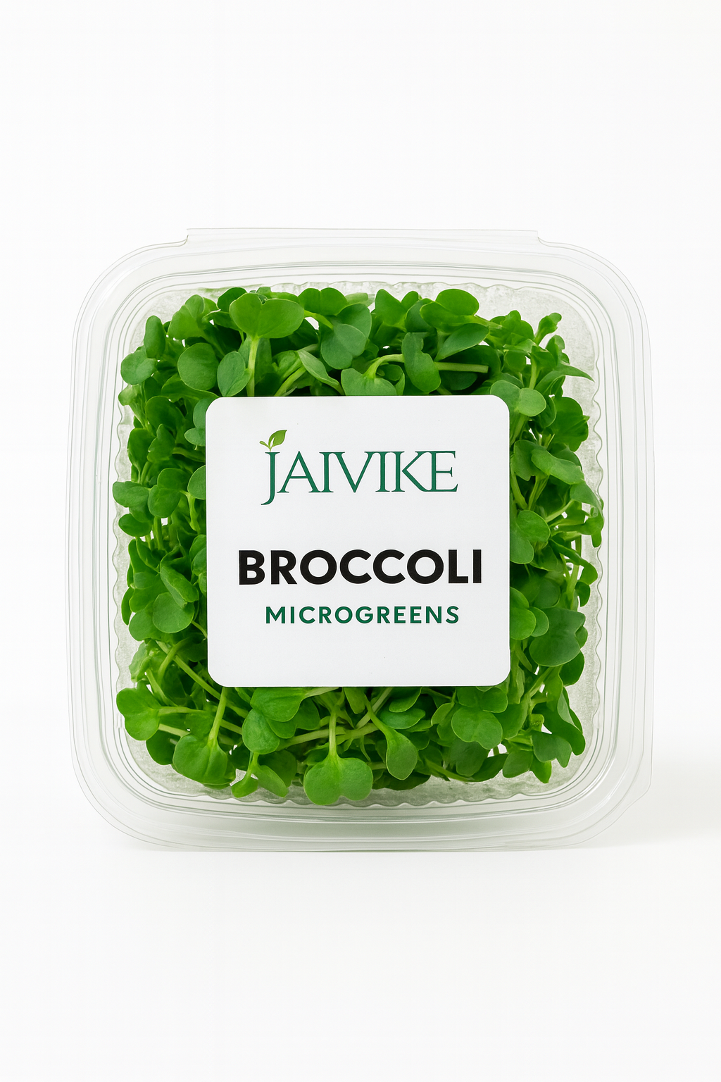 Organic Broccoli Microgreens 250 gm