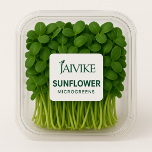 Sunflower Microgreens 250gm