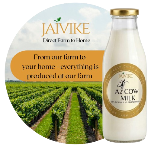 Red_Minimalist_Wine_Brand_Product_Promotion_Instagram_Post__3_-removebg-preview