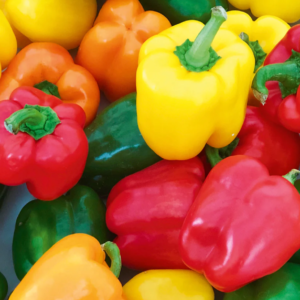 Colour Capsicum